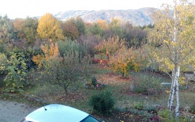 ISO 45001 versus OHSAS 18001