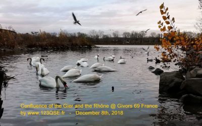 ISO 45001 vs MASE : veille réglementaire