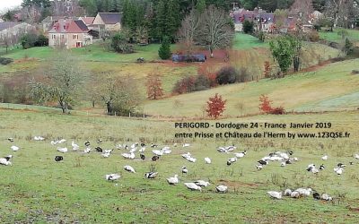 ISO 45001 v2018 § 4.2 : comprendre les besoins et les attentes des travailleurs