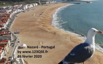 MASE, ISO 45001 et maladie 2019 du virus à couronne (Coronavirus en latin ou Covid-19 en anglais)