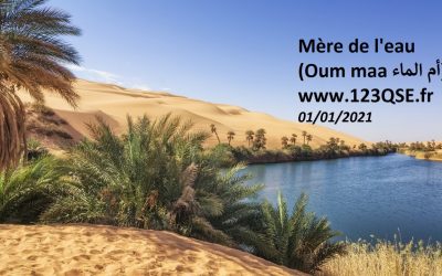 Écarts fréquents lors des audits du top management : exigences 4.1, 4.2, 4.3, 5.1, 5.2 et 5.3 de la norme ISO 22000 version 2018